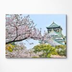 Cuadro en Lienzo - Blossom