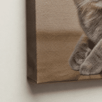 Cuadro en Lienzo Personalizado de Mascotas - Imagen 4