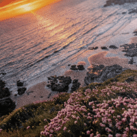 Cuadro en Lienzo Paisaje - Atardecer - Imagen 2